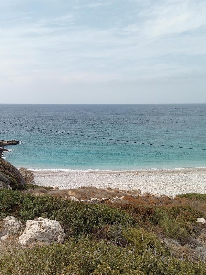 Albatros Studios & Apartments Λευκός Καρπάθου Εξωτερικό φωτογραφία