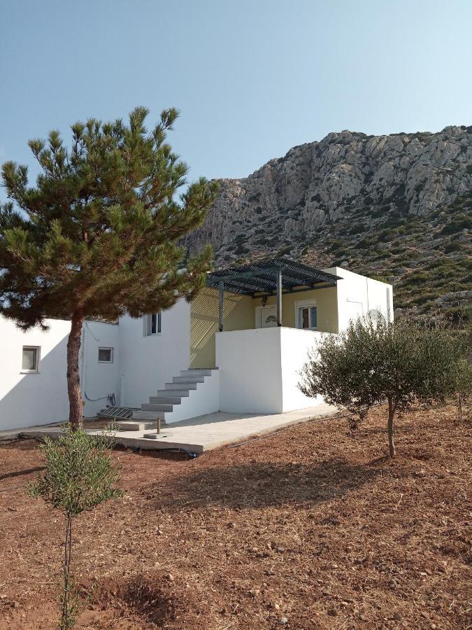Albatros Studios & Apartments Λευκός Καρπάθου Εξωτερικό φωτογραφία
