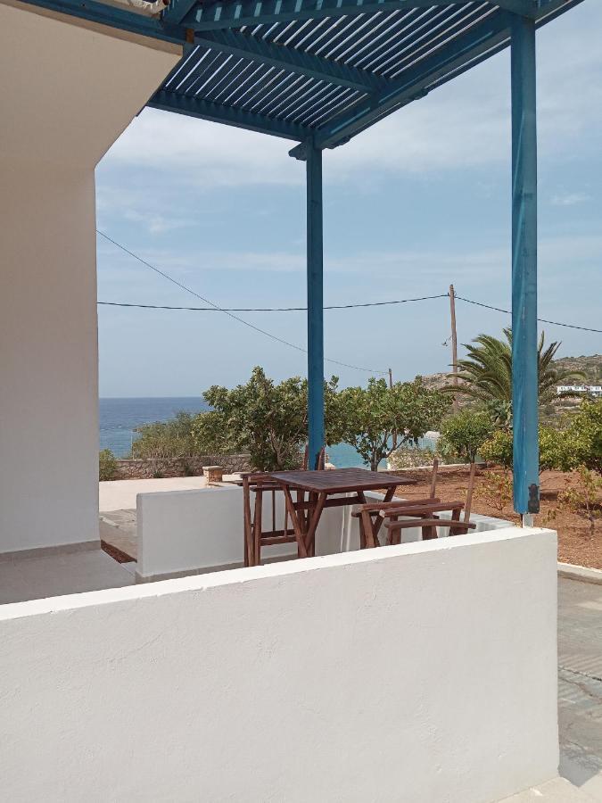 Albatros Studios & Apartments Λευκός Καρπάθου Εξωτερικό φωτογραφία