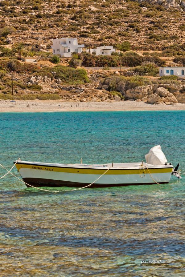 Albatros Studios & Apartments Λευκός Καρπάθου Εξωτερικό φωτογραφία