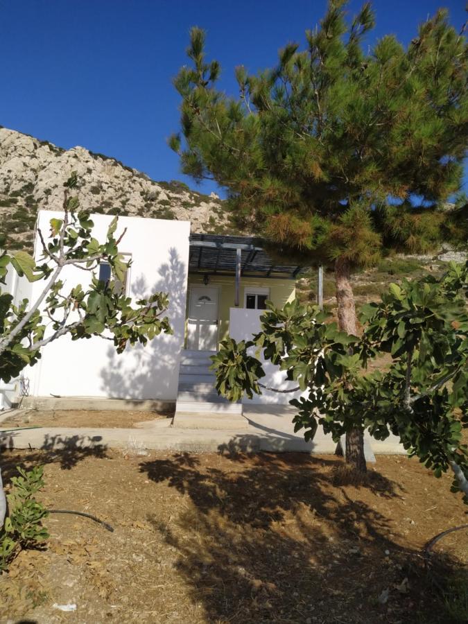 Albatros Studios & Apartments Λευκός Καρπάθου Εξωτερικό φωτογραφία